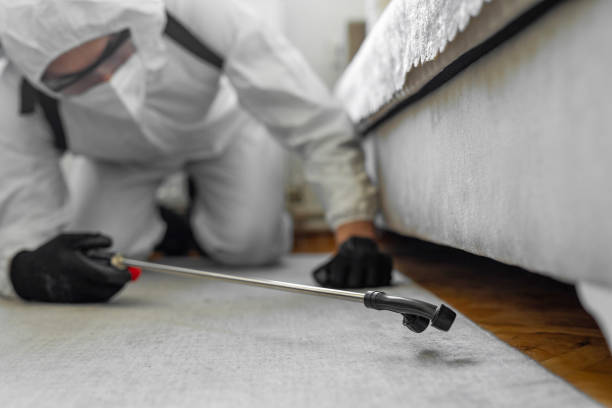 Professional Bed Bug Control technician working in Marion, KS