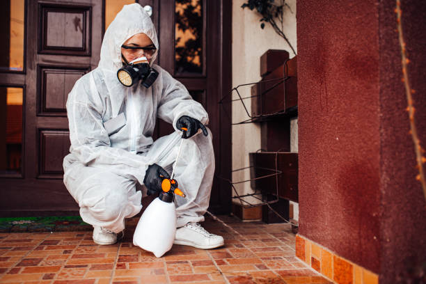 Reliable Bed Bug Control contractor in Marion, KS by Nex Pest Control