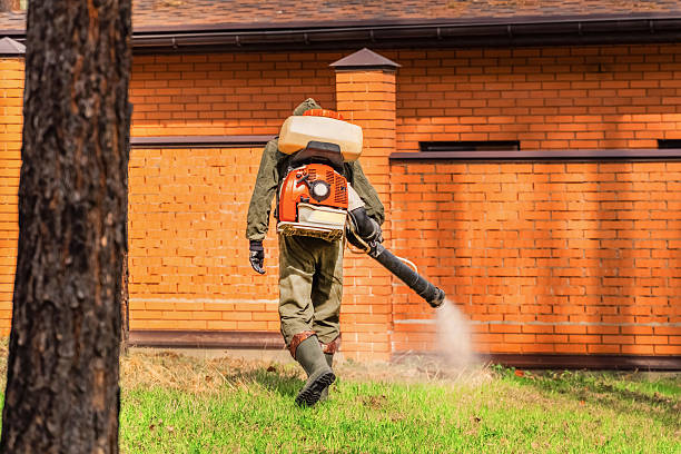 Trusted Bed Bug Control service in Marion, KS - Nex Pest Control